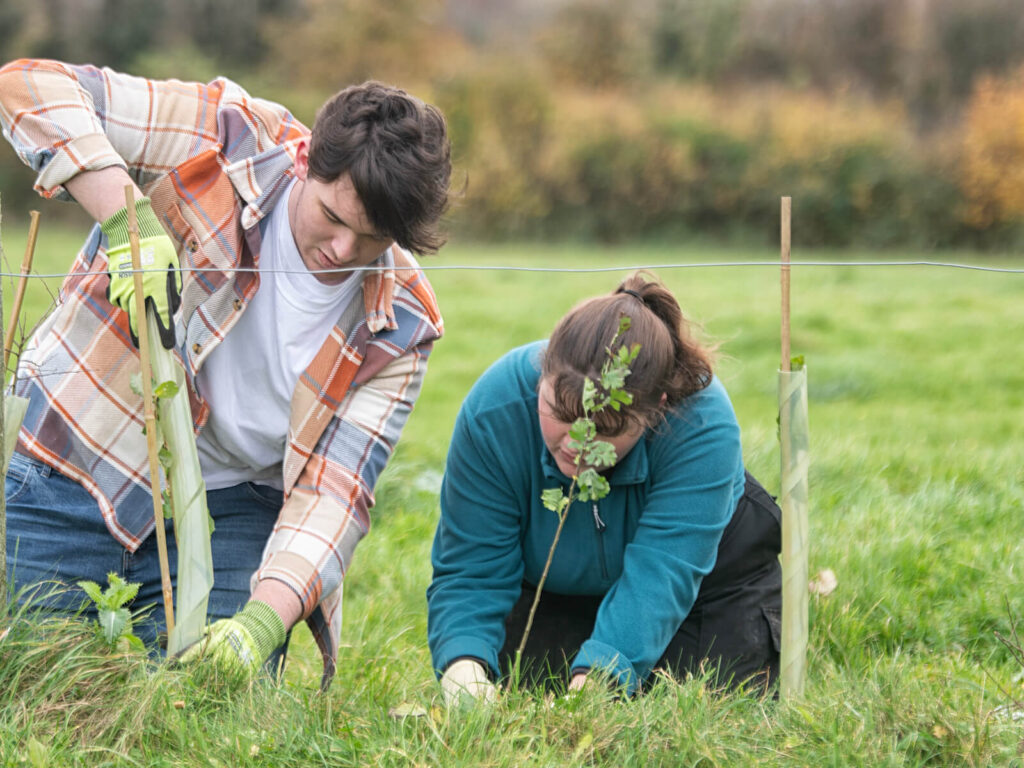 A couple plants trees in a field, donning plaid and teal, aiding National Parks with each sapling.