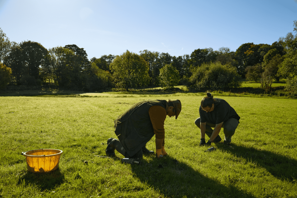 Two people kneel on sunny grass, inspecting the ground near a yellow bucket; trees and blue sky behind.