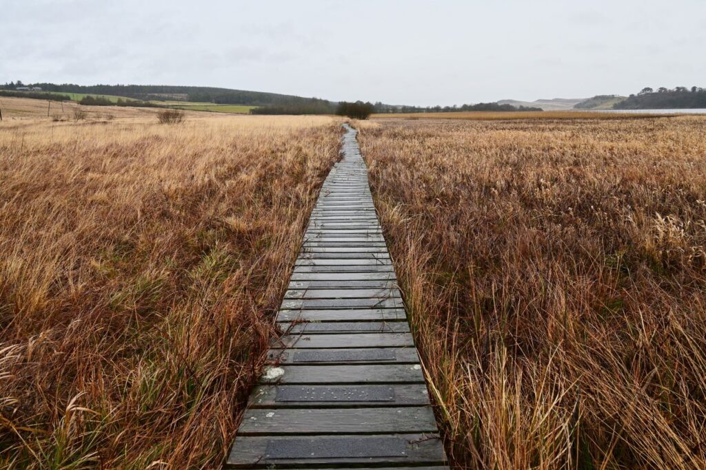 peatland to be restored in Northumberland National Park